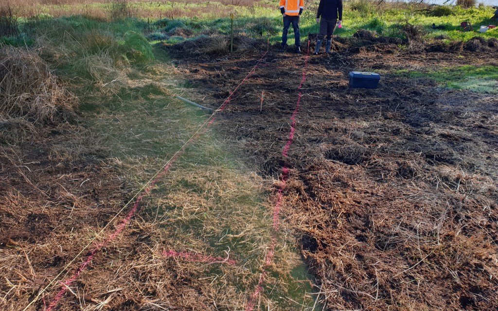 Archaeologists decide where to excavate